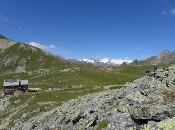 Im Hintergrund der Großvenediger