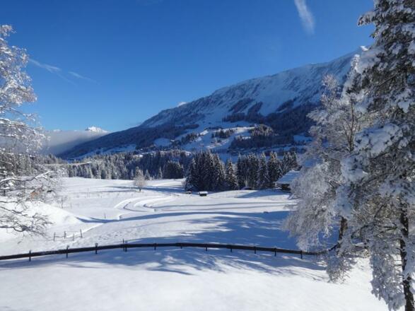 Blick Loipe und Nebelhorn