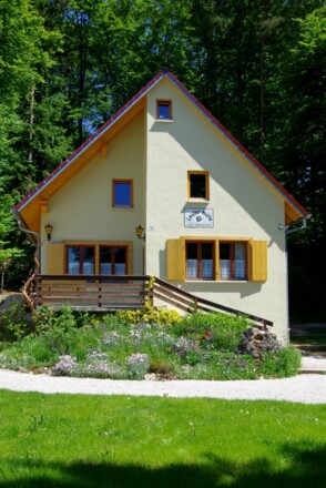 der Garten in der Blüte