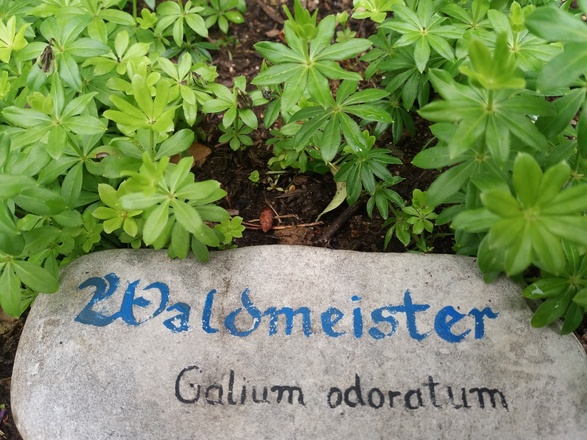 Liebevolle beschriftet sind die Kräuter im Kräuter-Kraft-Kreis der Stadtbücherei Wolfratshausen