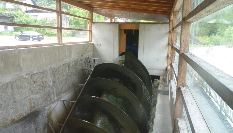 Wasserschnecke am Bergwirtwehr Kiefersfelden - Station 7 Kieferer Energiewanderweg