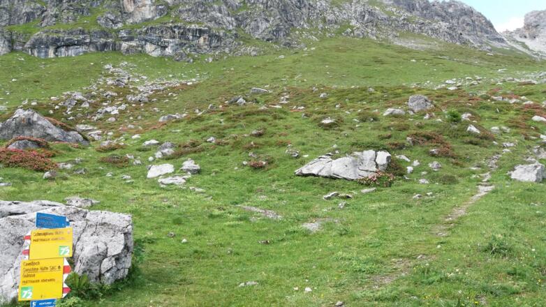 Über diesen Steig kommen wir herunter: unterer Wegweiser zum Cavelljoch.