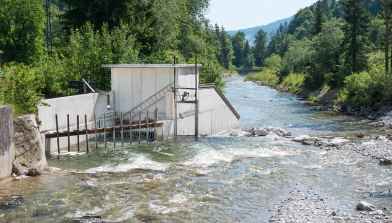 Marblingschnecke - Station 16 Energiewanderweg