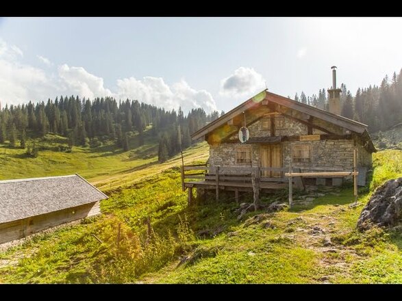 Bayerische Wildalm - Blauberge