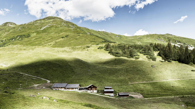 Alpe Latschätz