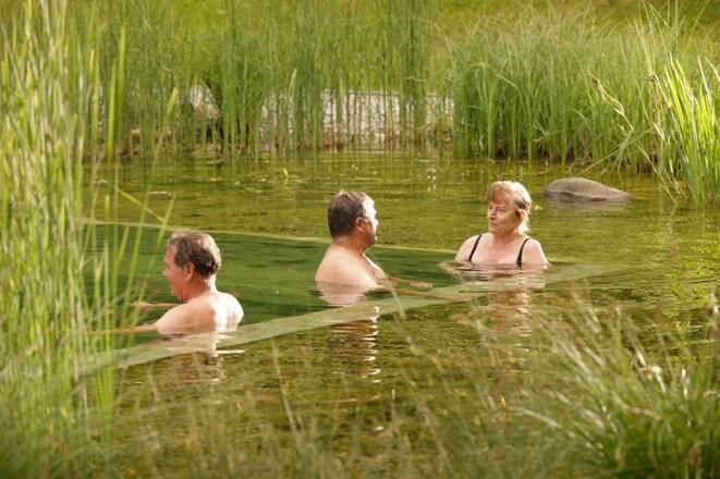 Naturschwimmteich