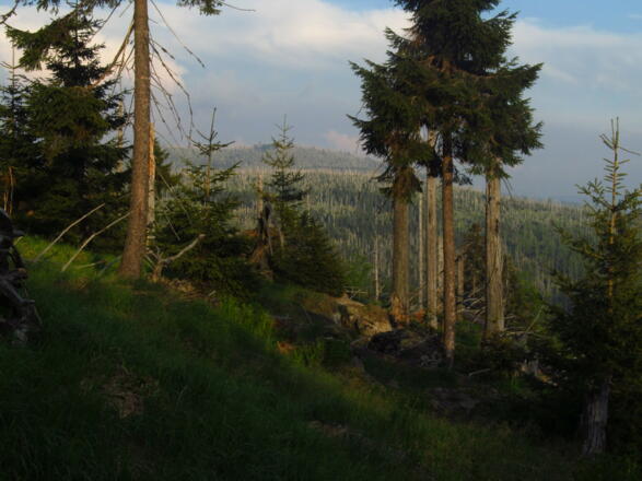 Rachelausblick