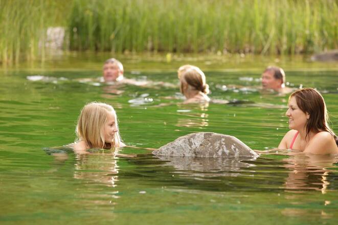 Naturschwimmteich