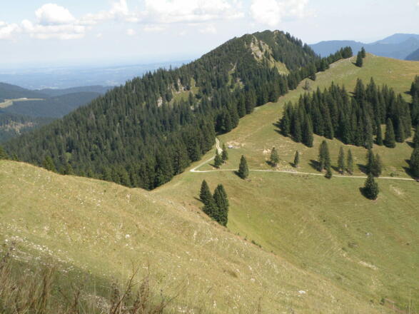 Rauhalmsattel mit Brandkopf und Spitzkampen