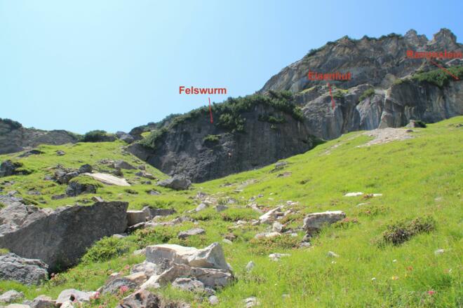 Übersichtsaufnahme Felswurm, Eisenhut und Rammstein