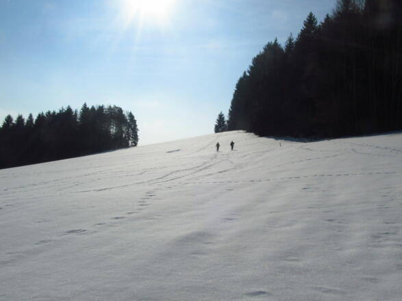 Cross Country - und Schneeschuhparadies Braunberg
