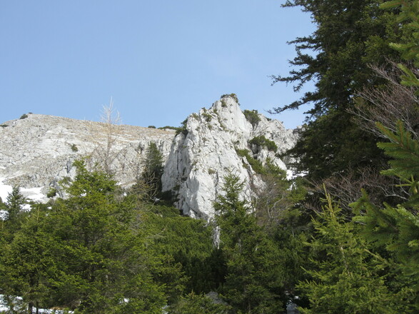 Alter Fritz von Süden