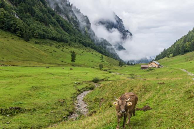 Blick zurück zur Weißenbachalpe