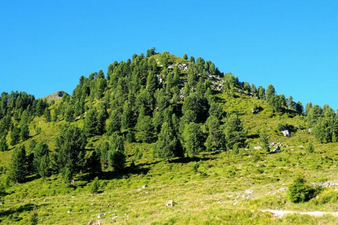 Rauher Kopf 2111m, von der Peter-Anich-Hütte