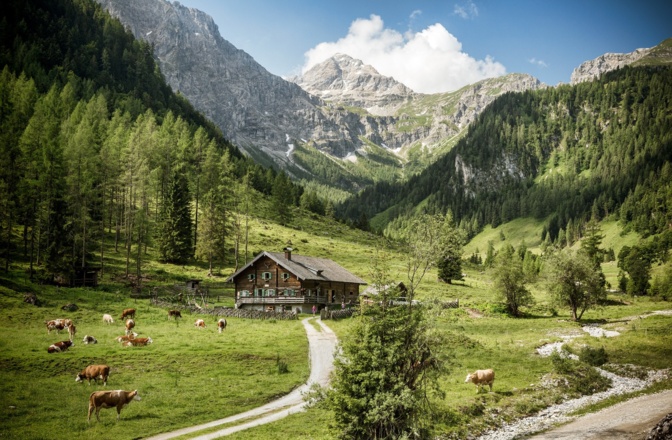 Vordere Marbachalm