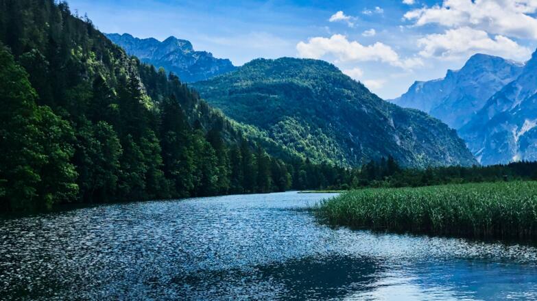 Almsee Nordufer mit Zwölferkogel