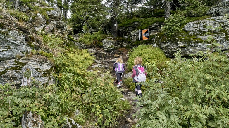 Wandern am Kleinen Arber