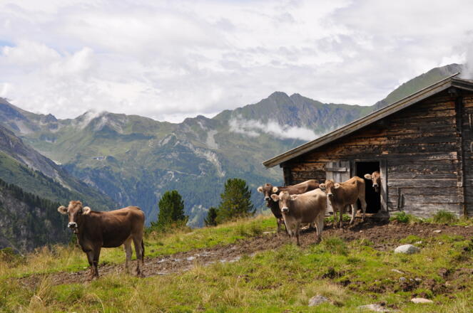 Blick zur Sommerbergalm
