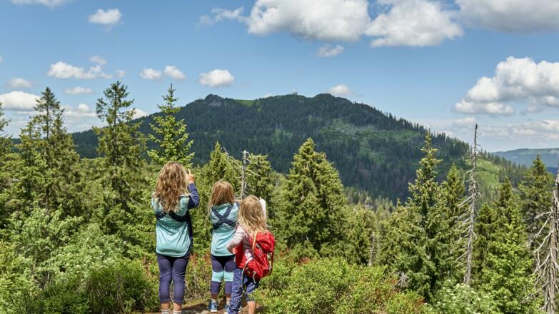 Rund ums Mittagsplatzl