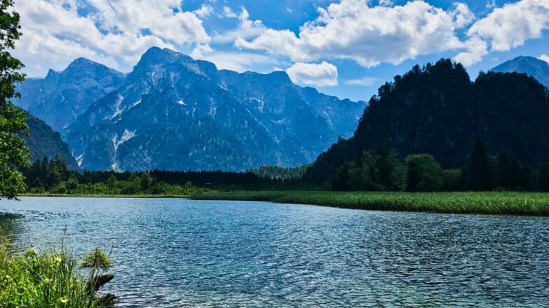 Almsee mit Ameisstein