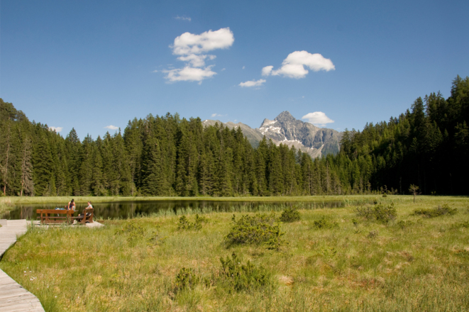 Brandsee