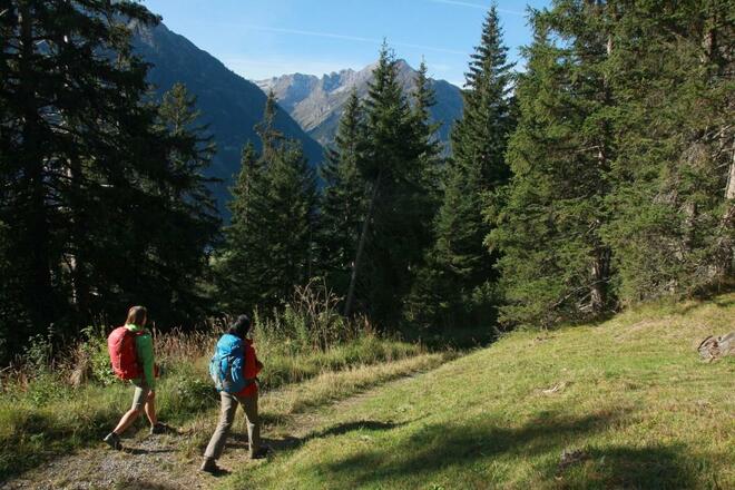 Bergwald im Lechtal