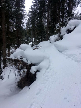 Radweg entlang der Strecke