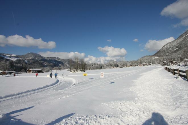 Langlaufen in Scheffsnoth