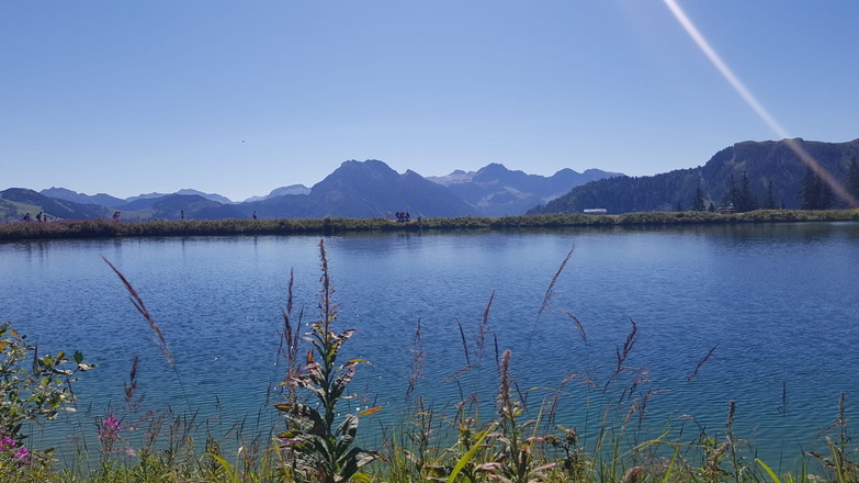 Grafenbergsee