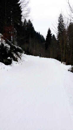 Entlang der Strecke Richtung Hochkeil