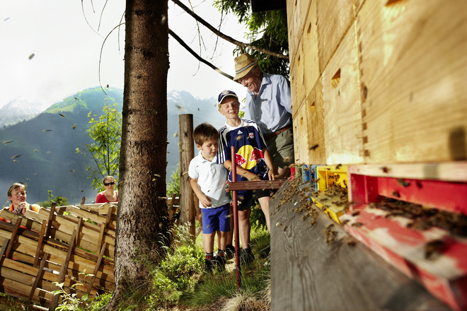 Bienenlehrpfad Hollersbach