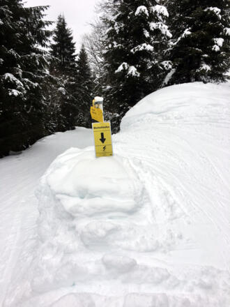 Abfahrt Richtung Ausgangspunkt