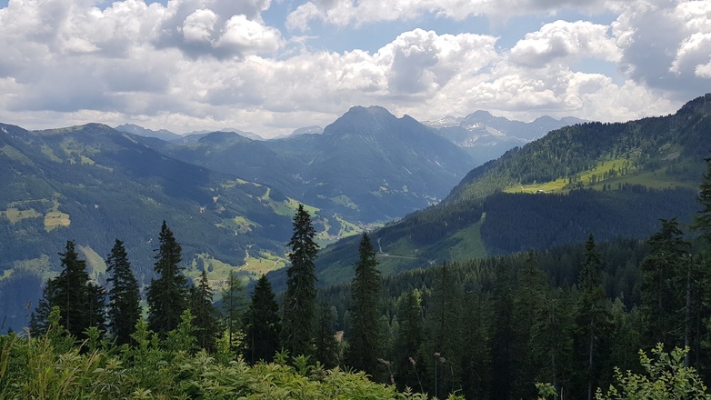 Grafenberg