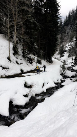 Durch dem Wald