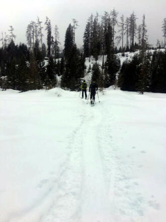 Eines der Flachstücke