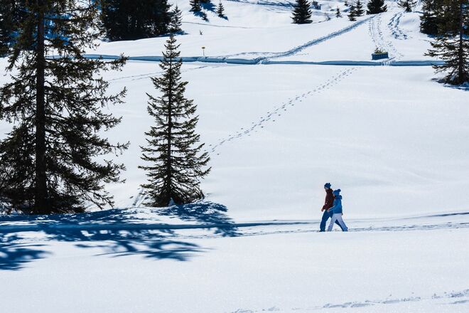 Winterwandern