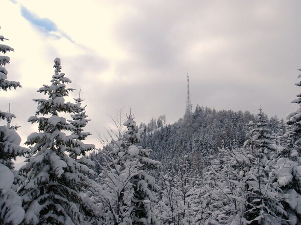 Kleinerberg 1287m
