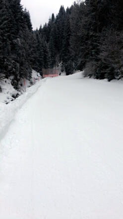 Entlang der Pistenabfahrt