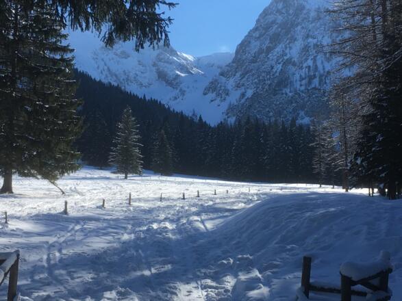 Blick ins Holzerkar