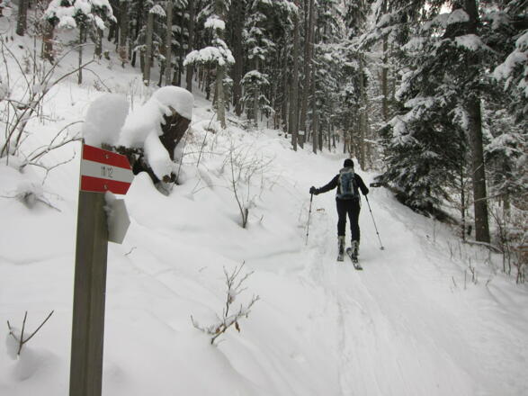 Beginn Sommerweg 11/12