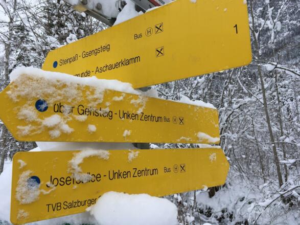 Josefsallee Unken, Salzburger Saalachtal