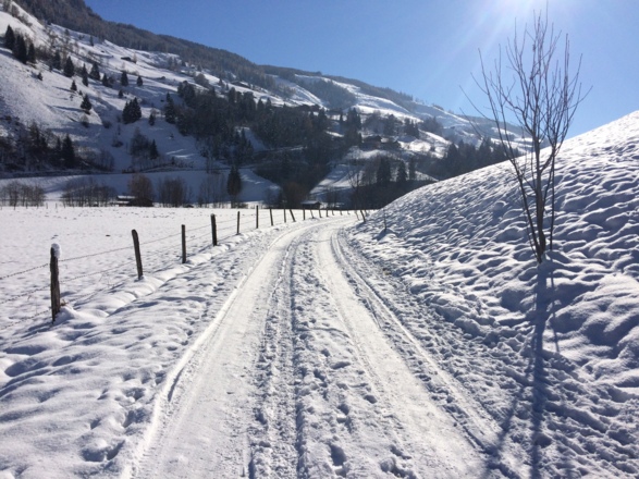 Alte Buchebenstraße ab Wörth