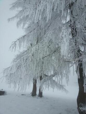 Kalter Wintertag am Spielberg