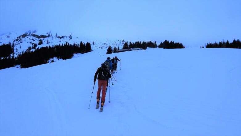 Kurz vor der Onemosalm (1463 m).