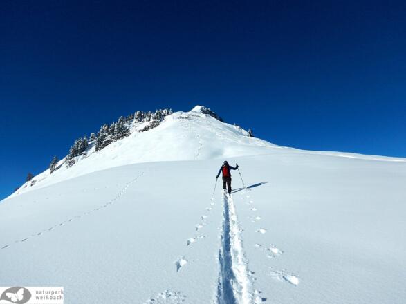 Schneeschuhwanderung auf den Kuhkranz