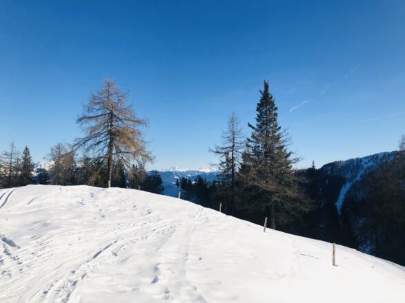 Aussicht von der Terrasse Ostpreussenhütte