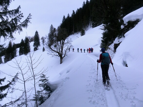 Almweg zur Oberfoischingalm