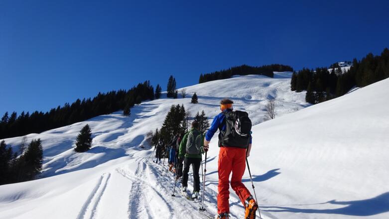 Auf ca. 1300 m traversiert man ein Stück in südlicher Richtung und erreicht wieder Lichtungen in idealer Neigung. Über diese hinauf, ...