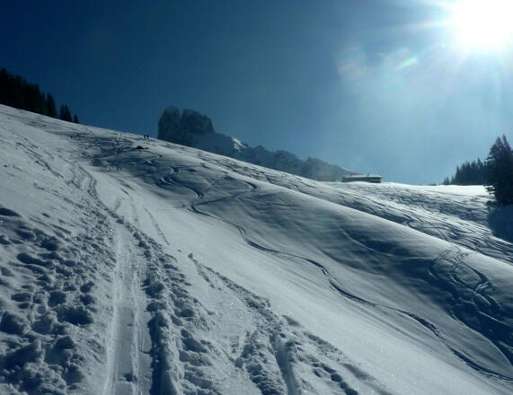 kurz vor der Stuhlalm