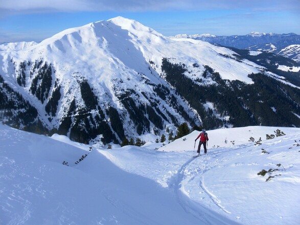 Steinbergstein vom Nordrücken